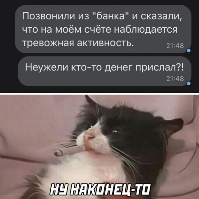 Весёлый полтишок 03.10