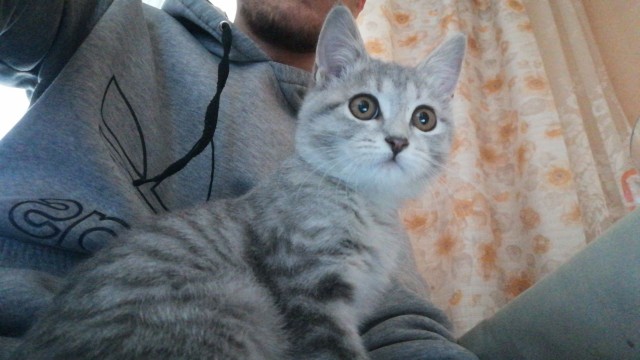 Котовторник 05.10.21 г