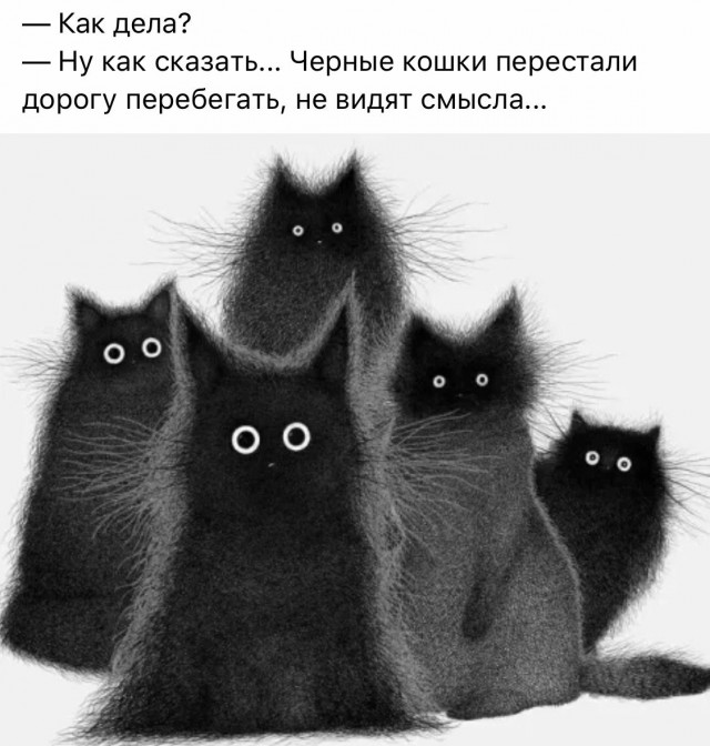 Боян на Бояне...