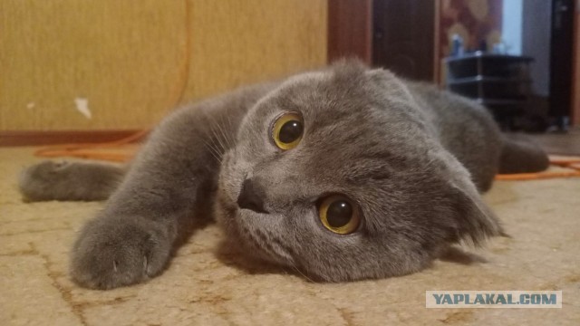 Ну, понеслась!