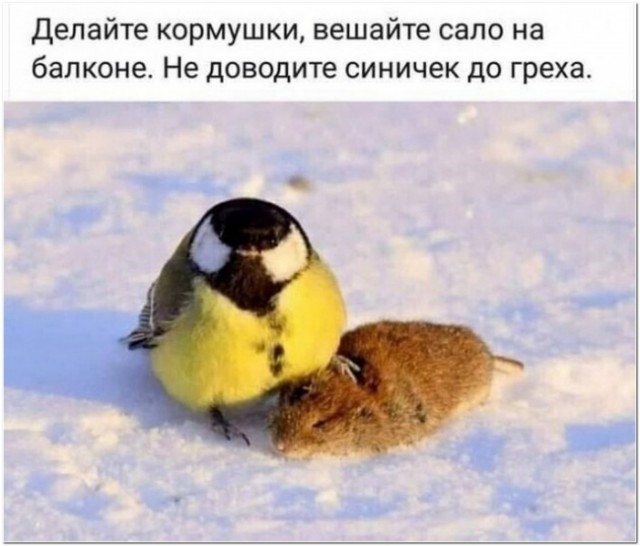Картинки и мемы, всем прекрасных выходных