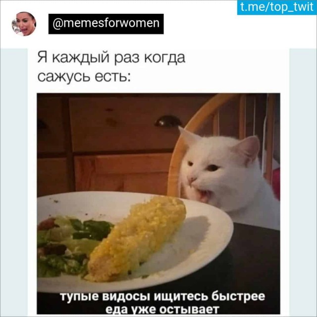 Баянисто-небаянистый юмор 14.02.22