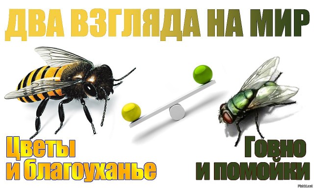 Литл Биг сняли новый клип