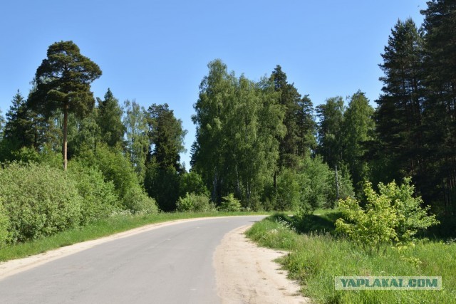 Просто любительские фото