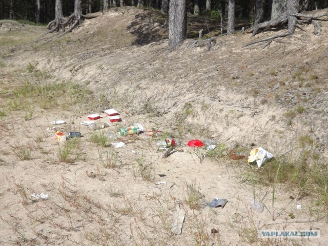 Русский север