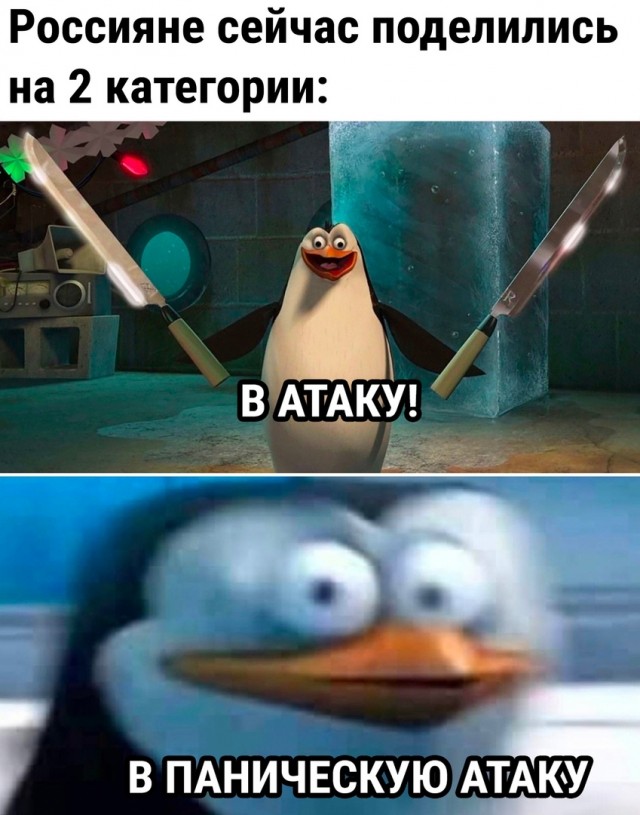 17246759.jpg