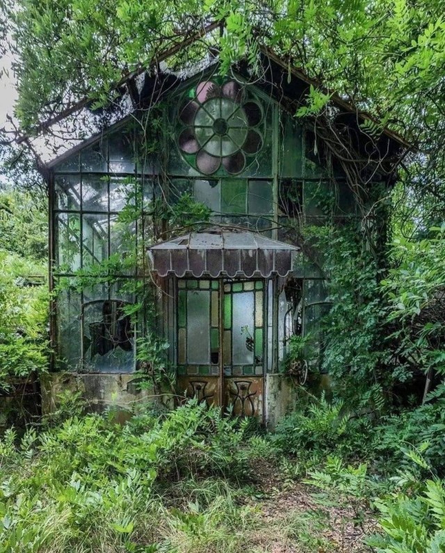 Просто фотографии