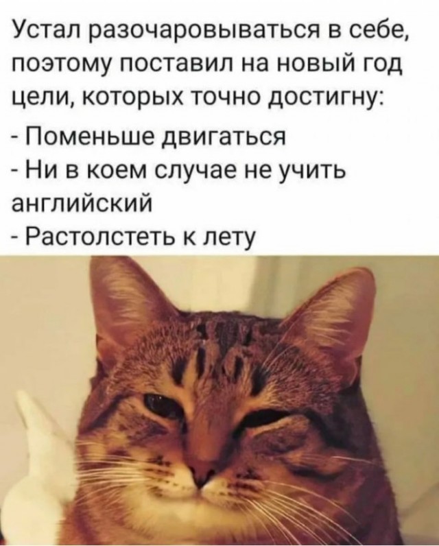 Картинки и мемы. Выходные близко...
