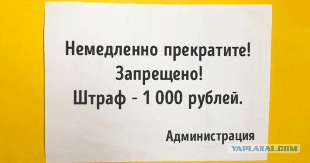 В Госдуме разрабатывают проект запрета фото- и видеосъемки на уроках