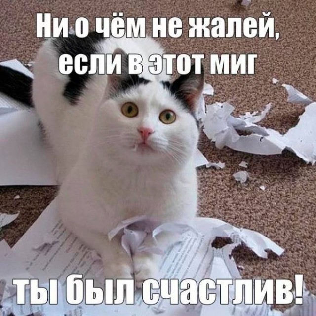 Картинки и мемы для настроения - 137