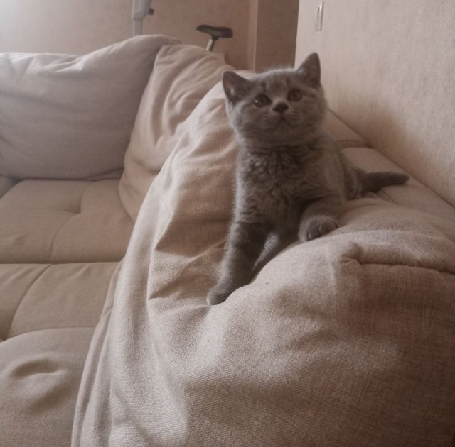 Ну вот и я стал рабом.