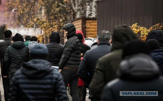 Мигранты готовы незаконно навязывать свои правила россиянам
