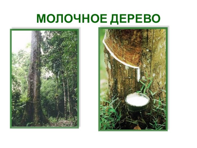 Немного юмора городским от деревенских
