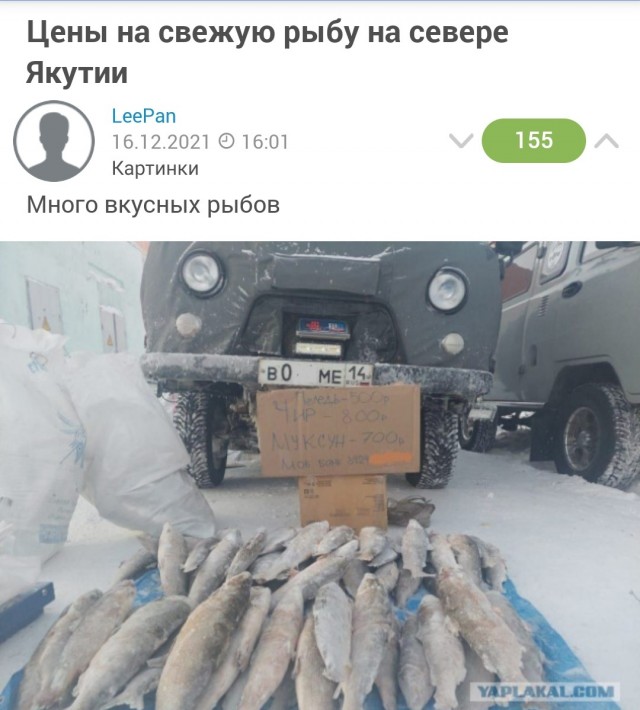 Сколько стоит мясо и рыба в Якутске
