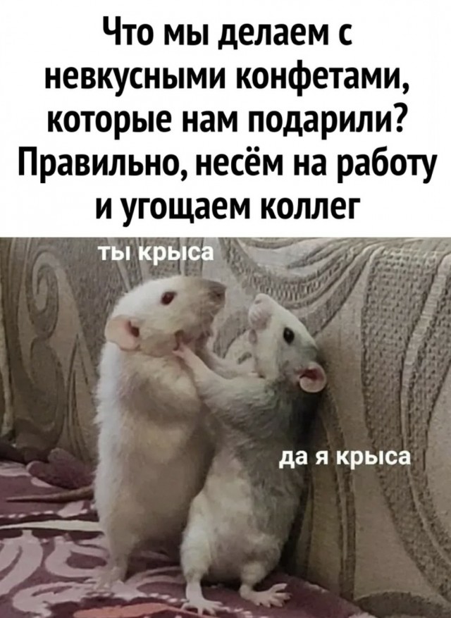 Семь неочевидных причин, почему мужчина не хочет секса
