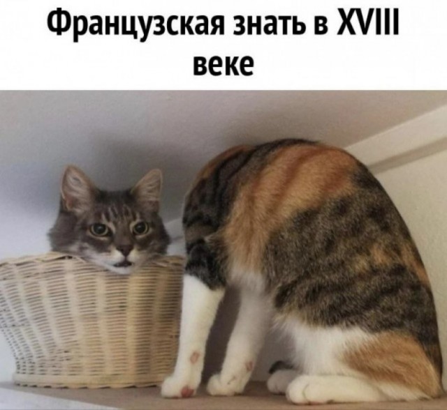 Великая Французская революция: накануне⁠⁠