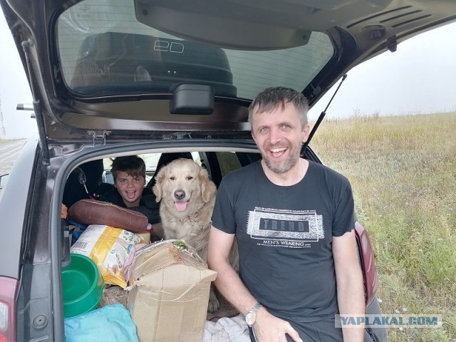 Собакочетверг! Добавляйте своих