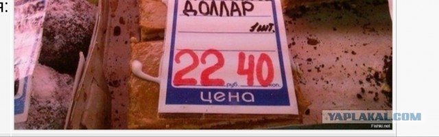 Дурдом (Бояны)