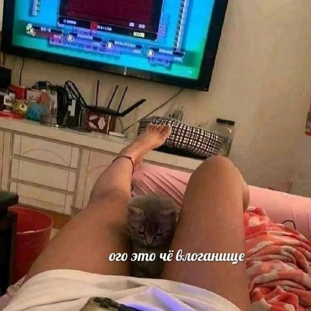 Немного субботней всячины