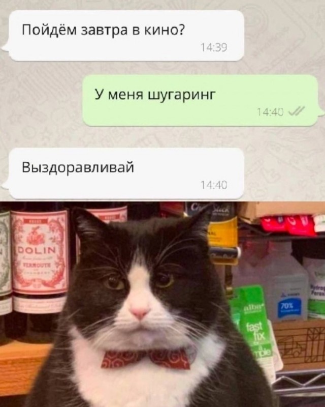Никакие картинки