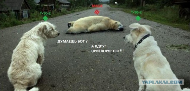 Wargaming 5
