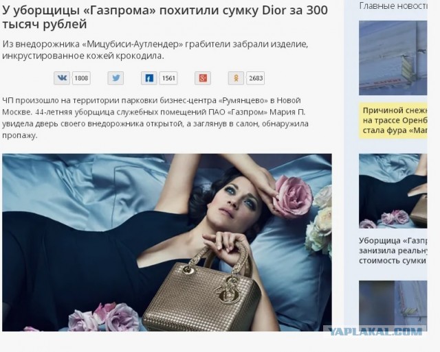 Футболисты волгоградского "Ротора" вышли на поле с 11 бездомными щенками, ищущих себе новую семью