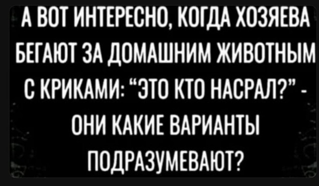 Завалялось тут случайно немного забавных картинок