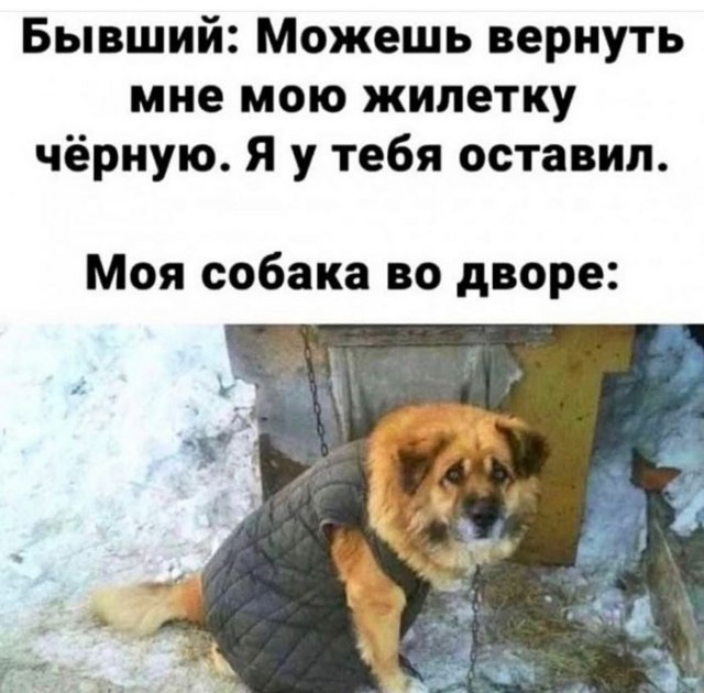 Веселые картинки к пятнице