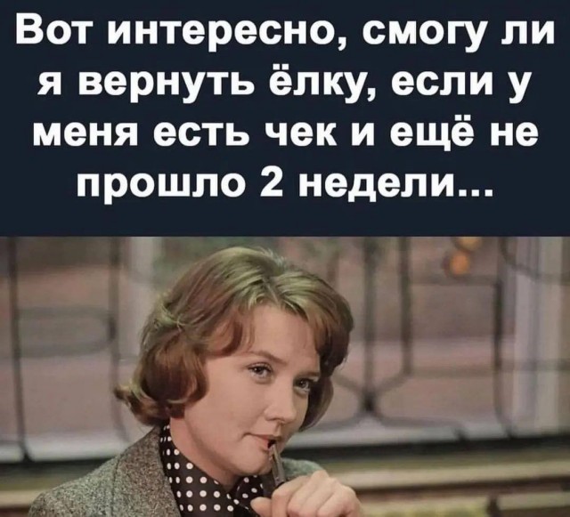 Весёлый полтишок 08.01.25