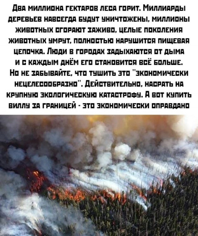 Забайкалье пожары сейчас