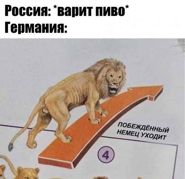 Россия обогнала Германию по производству пива и вытеснила её из пятёрки крупнейших стран-пивоваров в мире.