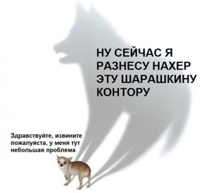 Картинки для деградации 7 (разной степени свежести)