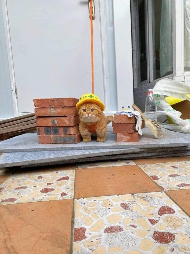 На работе