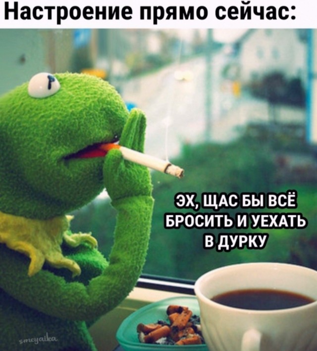 Веселое настроение в картинках (03.10.2025)