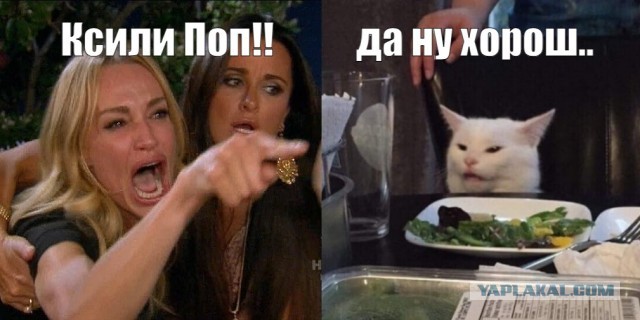 Зовите кота!