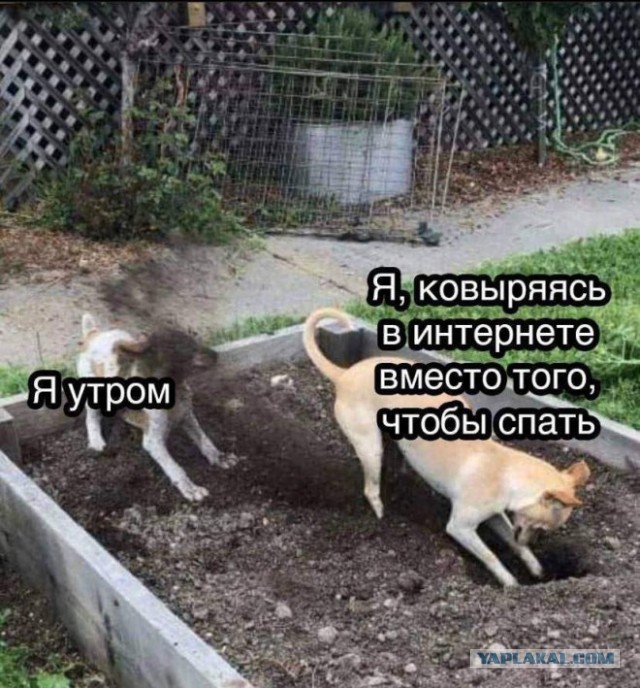 Так себе картинки 15.11.25