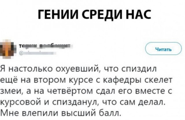 Веселое настроение в картинках (21.11.2025)