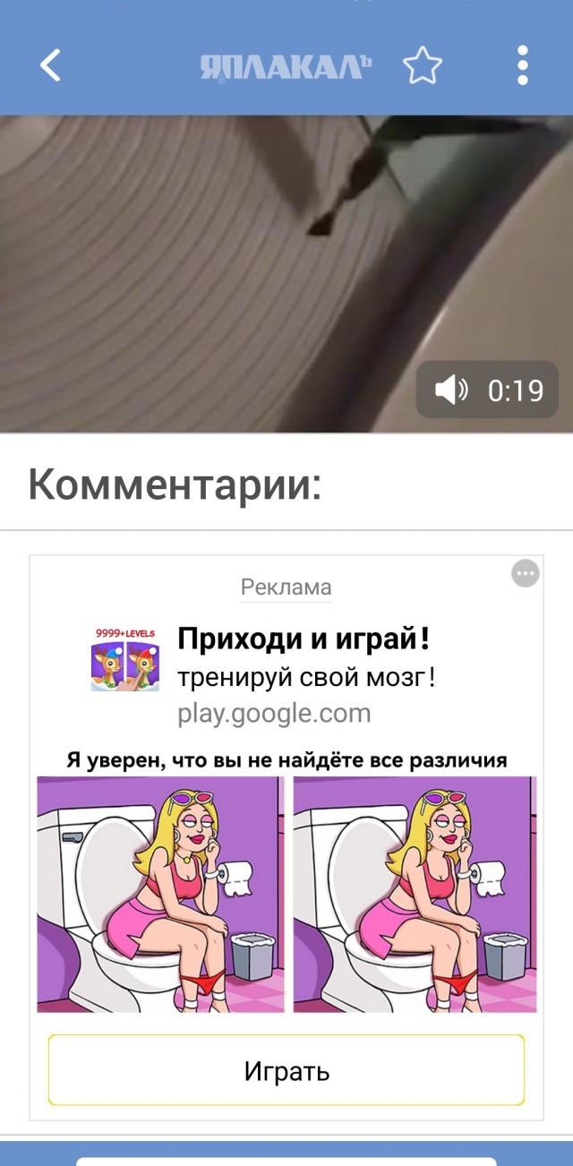 Что делать, если нет воды и не работает канализация?