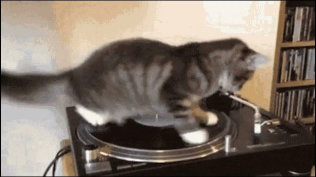 Ничё себе