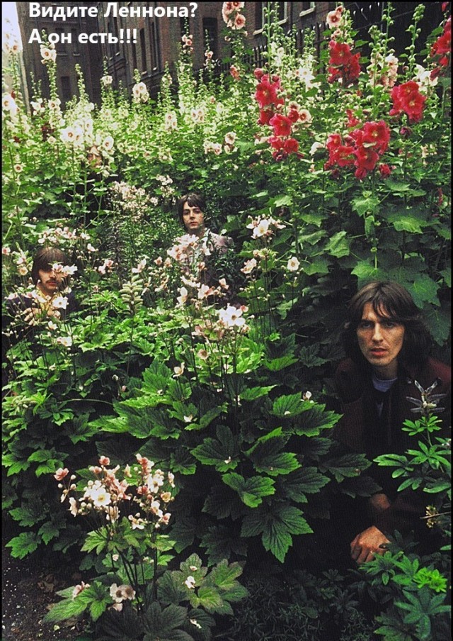 Это была рысь?⁠⁠