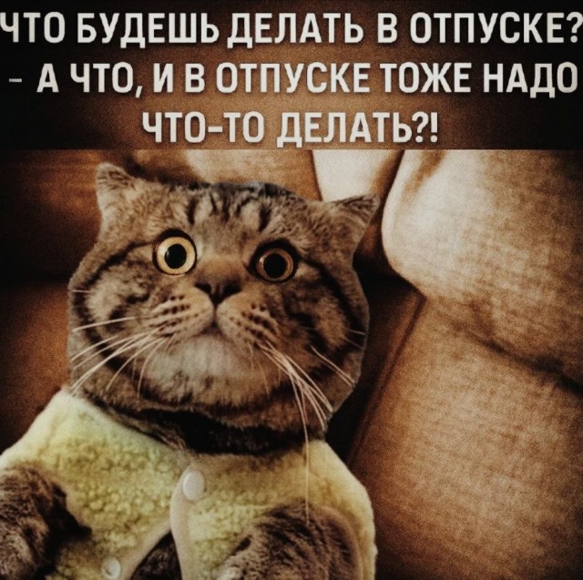 Фотожаба: Грустный котик