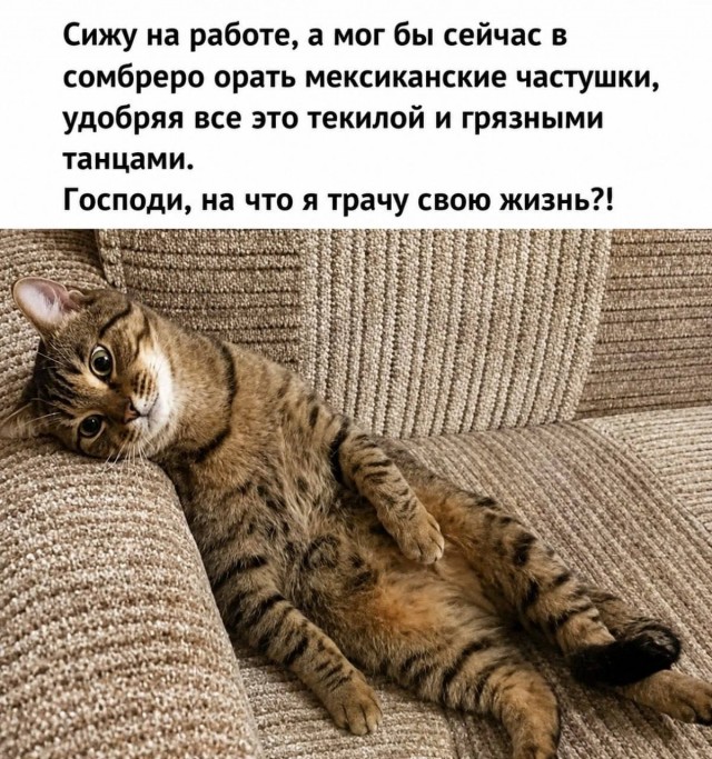Планы  на день