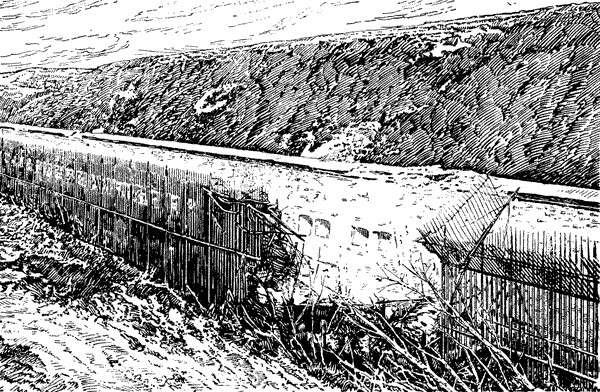 Атака мертвецов