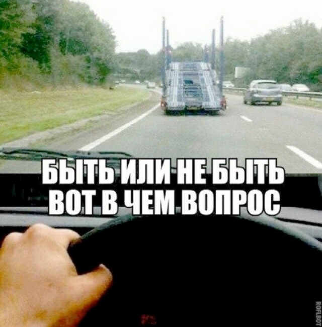 Так себе картинки 18.08.26