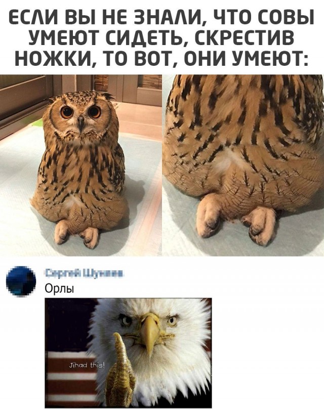 Картинки для деградации 284 (разной степени свежести)