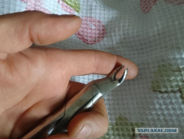 Зубозаменительная тема