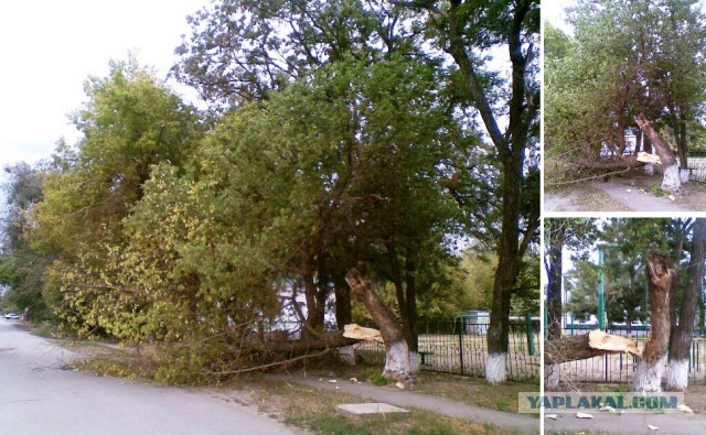 В Ростовской области бушует ураган
