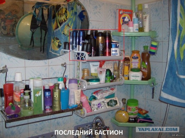 Свежие картинки из сети