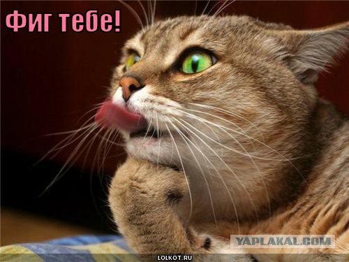 Вот они пи...ы и вылезли.