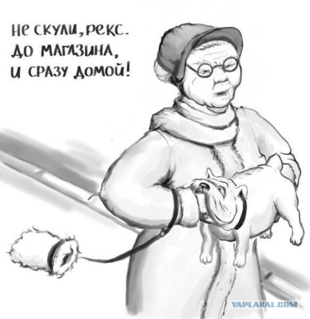 Весёлое из сети